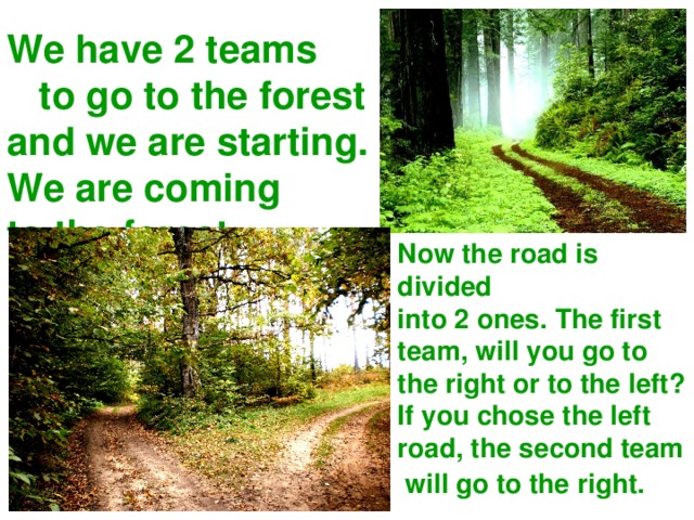 We have 2 teams  to go to the forest  and we are starting.  We are coming  to the forest. Now the road is divided into 2 ones. The first team, will you go to the right or to the left? If you chose the left road, the second team  will go to the right.