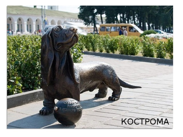 КОСТРОМА