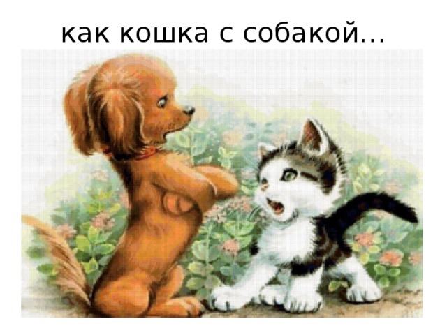 как кошка с собакой…