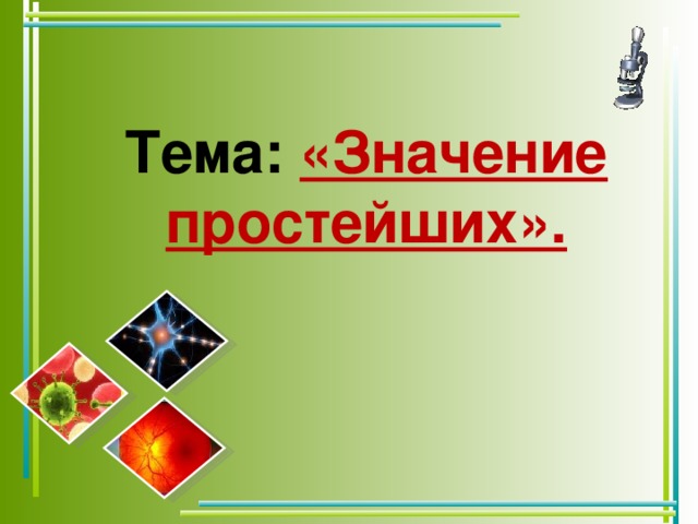 Тема: «Значение простейших».