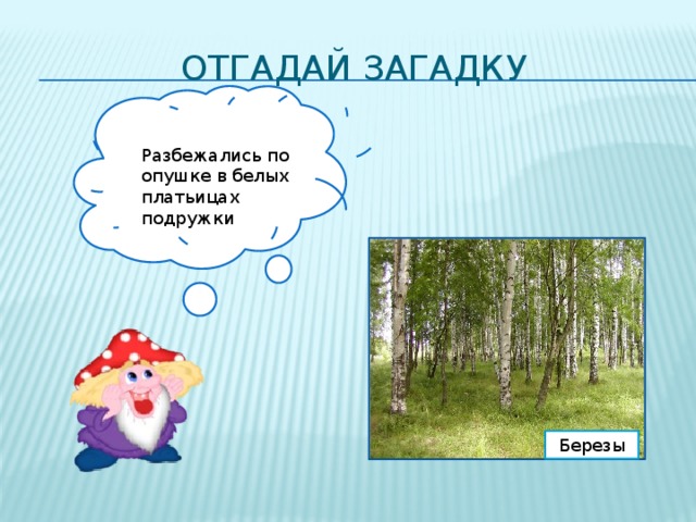 Отгадай загадку Разбежались по опушке в белых платьицах подружки Березы