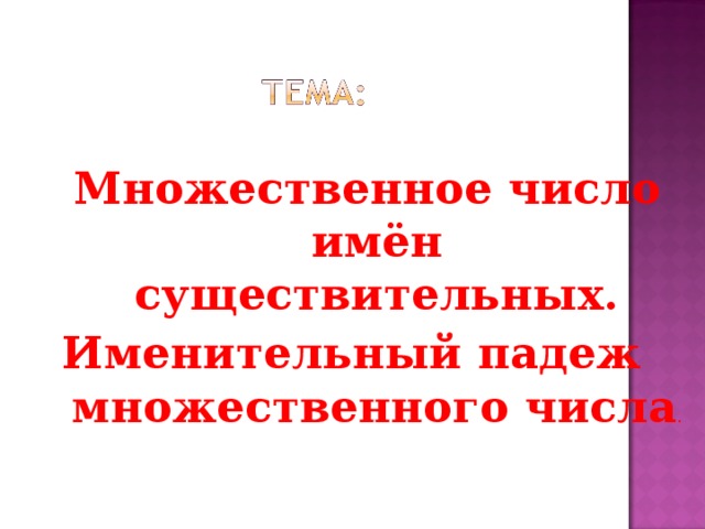 Презентация число имен существительных 5 класс разумовская