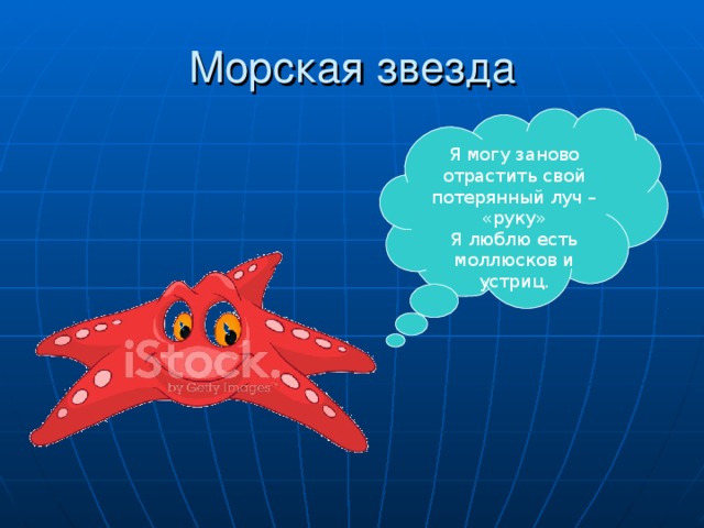 Я могу заново отрастить свой потерянный луч – «руку» Я люблю есть моллюсков и устриц.