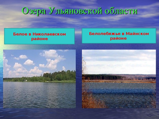 Озера Ульяновской области Белое в Николаевском районе Белолебяжье в Майнском районе