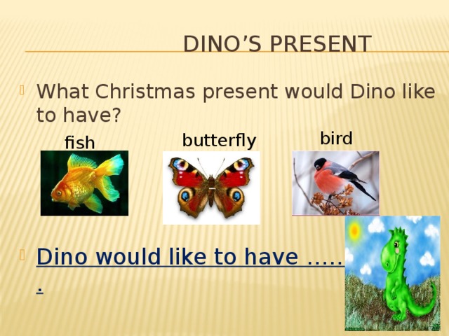 Dino’s present What Christmas present would Dino like to have? Dino would like to have …………….. . bird butterfly fish