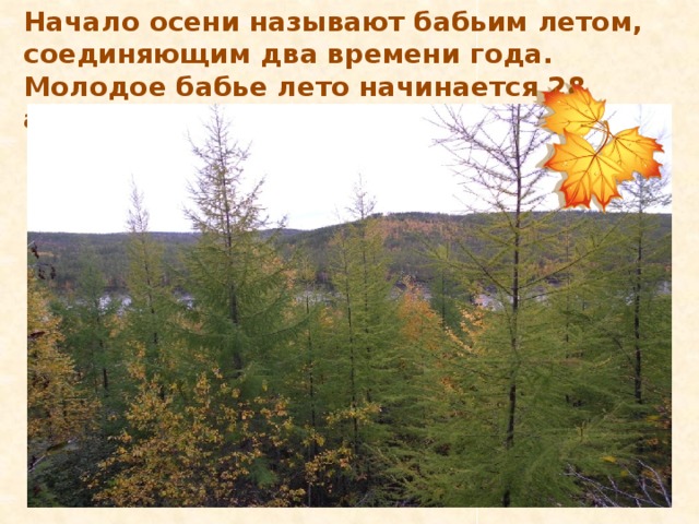 Начало осени называют бабьим летом, соединяющим два времени года. Молодое бабье лето начинается 28 августа и длится до 11 сентября.