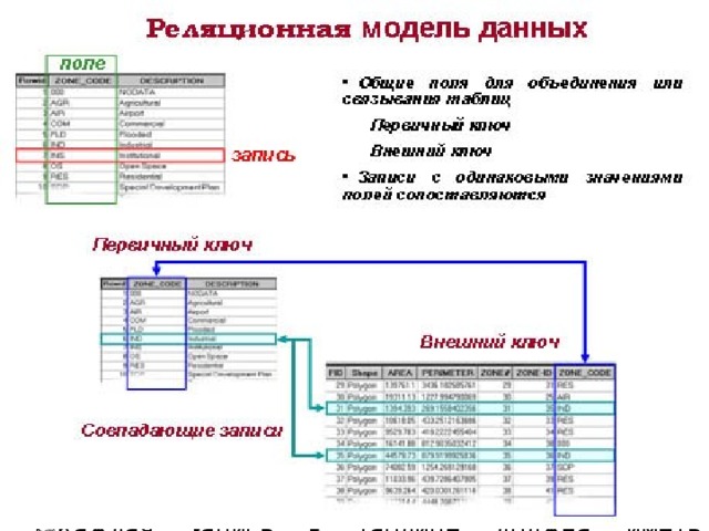 Основные понятия реляционных БД