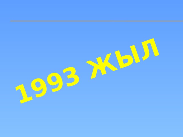 1993 жыл