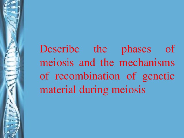 Describe the phases of meiosis and the mechanisms of recombination of genetic material during meiosis