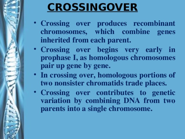 CROSSINGOVER Crossing over produces recombinant chromosomes, which combine genes inherited from each parent. Crossing over begins very early in prophase I, as homologous chromosomes pair up gene by gene. In crossing over, homologous portions of two nonsister chromatids trade places. Crossing over contributes to genetic variation by combining DNA from two parents into a single chromosome.