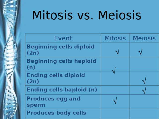 Mitosis vs. Meiosis Event Mitosis Beginning cells diploid (2n) Meiosis Beginning cells haploid (n) Ending cells diploid (2n) Ending cells haploid (n) Produces egg and sperm Produces body cells √ √ √ The answers are animated so you can have students answer the question before you reveal the answer. √ √ √ 31