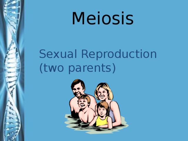 Meiosis Sexual Reproduction (two parents)