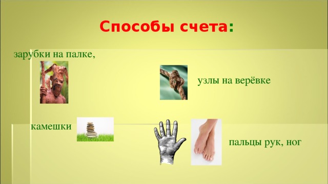 Способы счета : зарубки на палке, узлы на верёвке камешки пальцы рук, ног