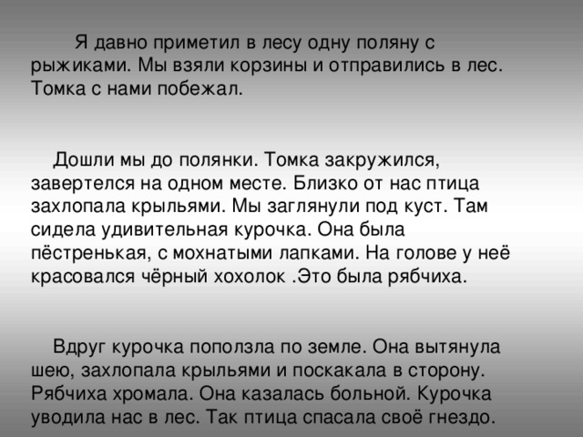 Я давно приметил в лесу одну поляну с рыжиками. Мы взяли корзины и отправились в лес. Томка с нами побежал.  Дошли мы до полянки. Томка закружился, завертелся на одном месте. Близко от нас птица захлопала крыльями. Мы заглянули под куст. Там сидела удивительная курочка. Она была пёстренькая, с мохнатыми лапками. На голове у неё красовался чёрный хохолок .Это была рябчиха.  Вдруг курочка поползла по земле. Она вытянула шею, захлопала крыльями и поскакала в сторону. Рябчиха хромала. Она казалась больной. Курочка уводила нас в лес. Так птица спасала своё гнездо.