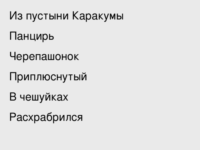 Из пустыни Каракумы Панцирь Черепашонок Приплюснутый В чешуйках Расхрабрился