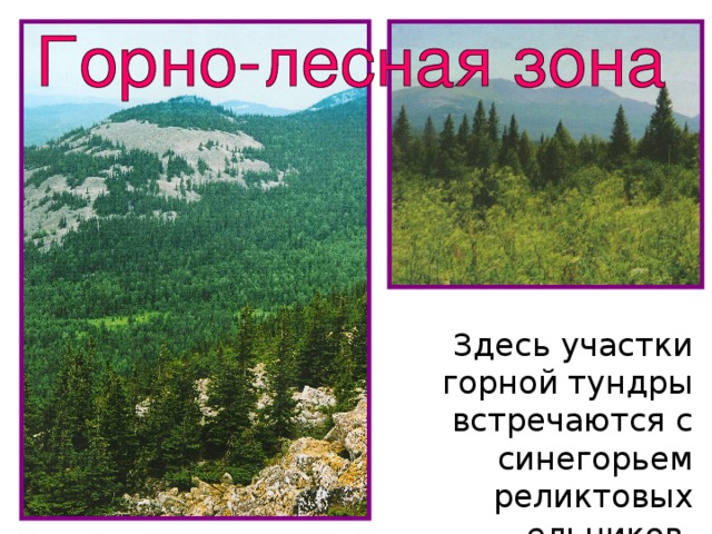 Здесь участки горной тундры встречаются с синегорьем реликтовых ельников.