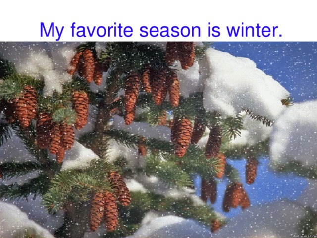 My favorite season is winter.