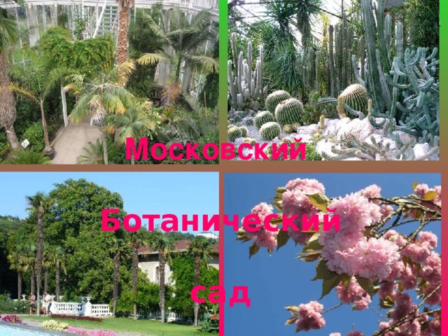 Московский  Ботанический  сад