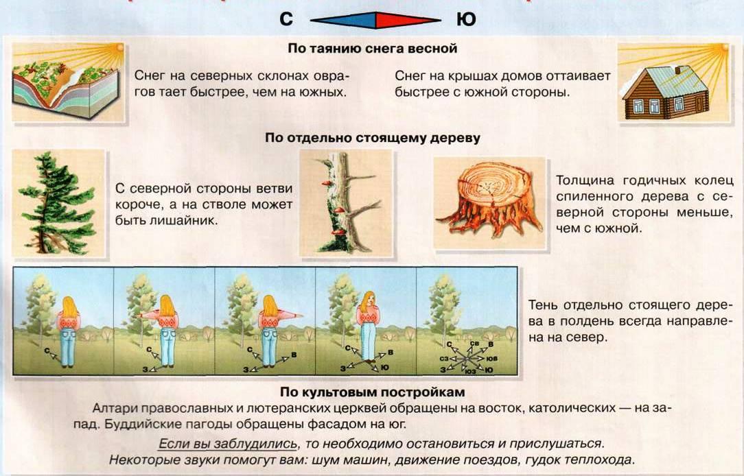 Презентация на тему посмотри вокруг 2 класс окружающий мир плешаков