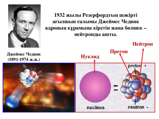 1932 жылы Резерфордтың шәкірті ағылшын ғалымы Джеймес Чедвик ядроның құрамына кіретін жаңа бөлшек – нейтронды ашты. Нейтрон Протон Джеймес Чедвик (1891-1974 ж.ж.) Нуклид