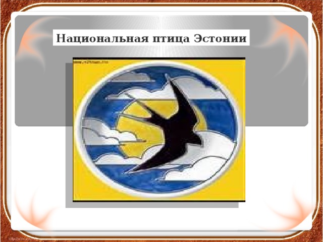 Национальная птица эстонии. Ласточка символ Эстонии. Пернатый символ Эстонии. Национальные символы Эстонии.