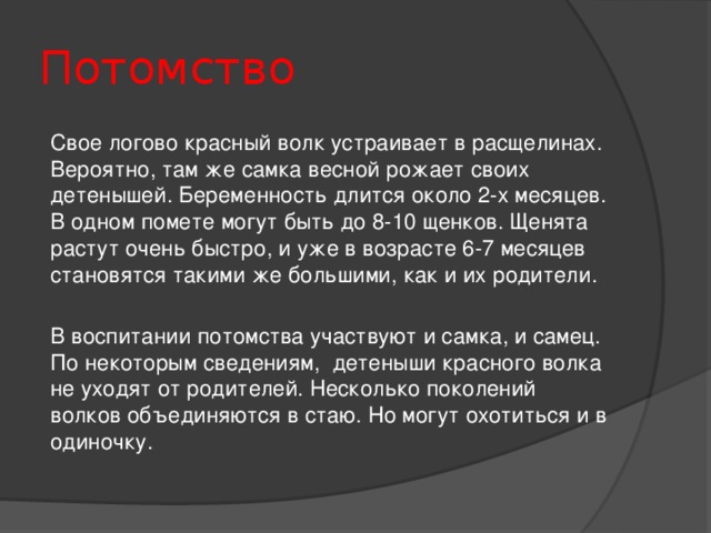 Потомство Свое логово красный волк устраивает в расщелинах. Вероятно, там же самка весной рожает своих детенышей. Беременность длится около 2-х месяцев. В одном помете могут быть до 8-10 щенков. Щенята растут очень быстро, и уже в возрасте 6-7 месяцев становятся такими же большими, как и их родители. В воспитании потомства участвуют и самка, и самец. По некоторым сведениям,  детеныши красного волка не уходят от родителей. Несколько поколений волков объединяются в стаю. Но могут охотиться и в одиночку.