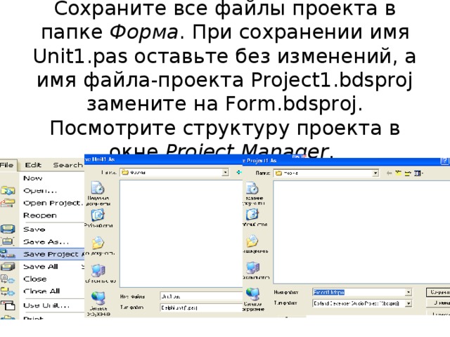 Сохраните все файлы проекта в папке Форма . При сохранении имя Unit1.pas оставьте без изменений, а имя файла-проекта Project1.bdsproj замените на Form.bdsproj. Посмотрите структуру проекта в окне Project Manager .