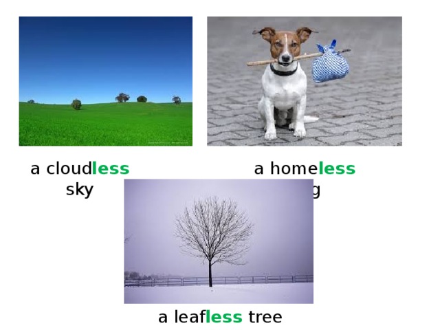 a cloud less  sky a home less dog a leaf less tree
