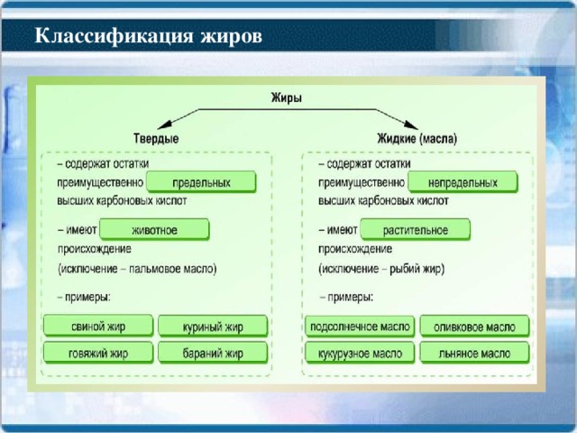 Классификация жиров