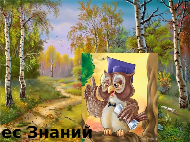 Лес Знаний