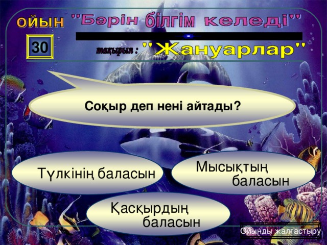 30 Соқыр деп нені айтады? Мысықтың  баласын Түлкінің баласын Қасқырдың  баласын Ойынды жалғастыру