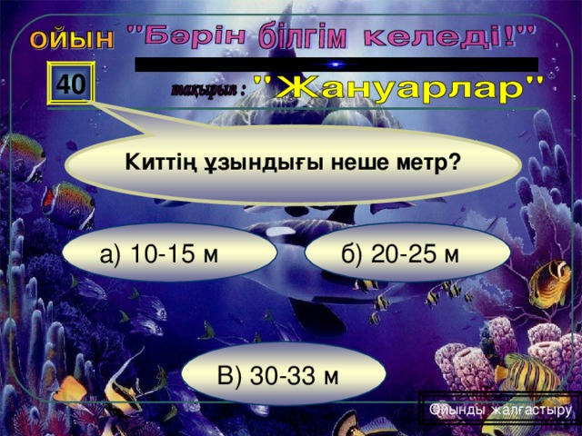 40 Киттің ұзындығы неше метр? б) 20-25 м а) 10-15 м В) 30-33 м Ойынды жалғастыру