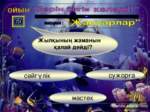 60 Жылқының жаманын  қалай дейді?  сужорға  сәйгүлік  мәстек Ойынды жалғастыру