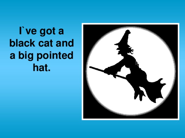 I`ve got a black cat and a big pointed hat.