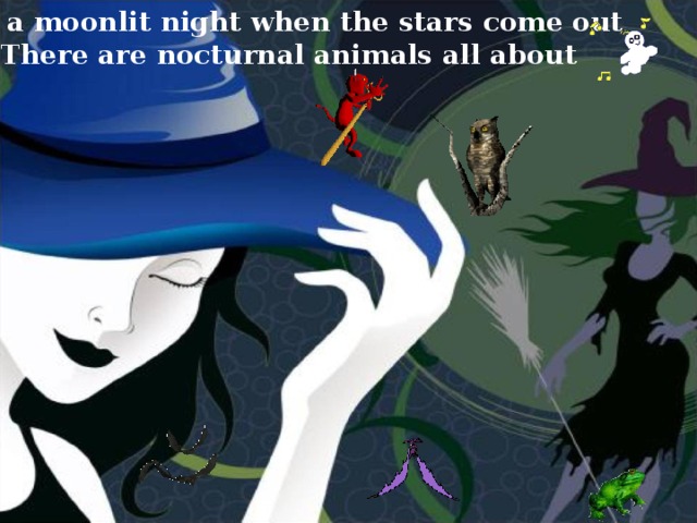 On a moonlit night when the stars come out  There are nocturnal animals all about
