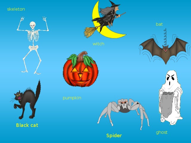 skeleton bat witch pumpkin Black cat ghost Spider