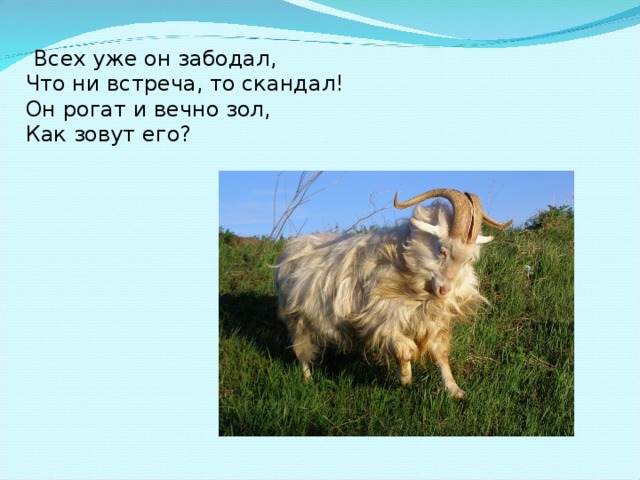 Всех уже он забодал,  Что ни встреча, то скандал!  Он рогат и вечно зол,  Как зовут его?