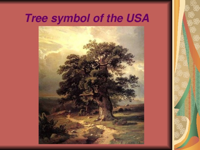 Tree symbol of the USA