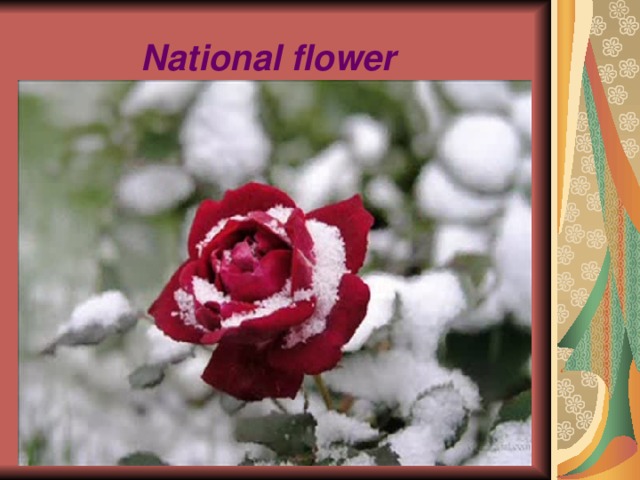National flower