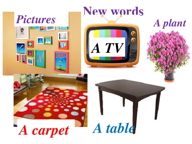 New words Pictures A plant A TV A table А carpet