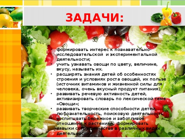 Проект овощи фрукты средняя группа Проект для детей 4-5 лет ( средняя группа) "Овощи на грядке, здоровье в порядке!