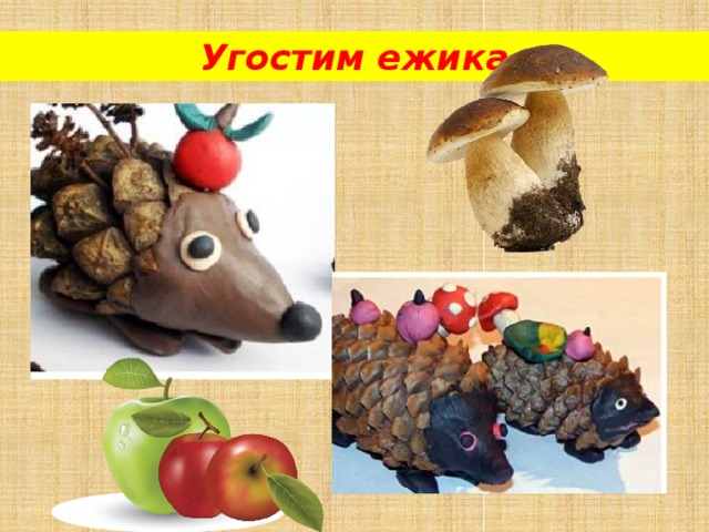 Угостим ежика