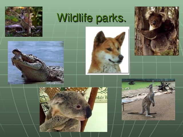 Wildlife parks.