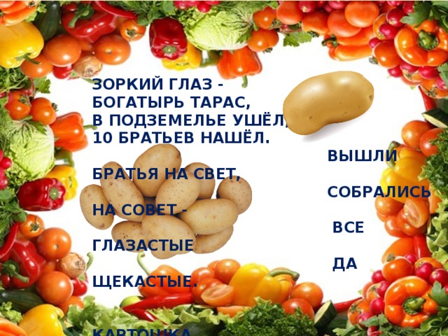 Зоркий глаз - Богатырь Тарас, В подземелье ушёл, 10 братьев нашёл.  Вышли братья на свет,  Собрались на совет -  Все глазастые  Да щекастые.   Картошка