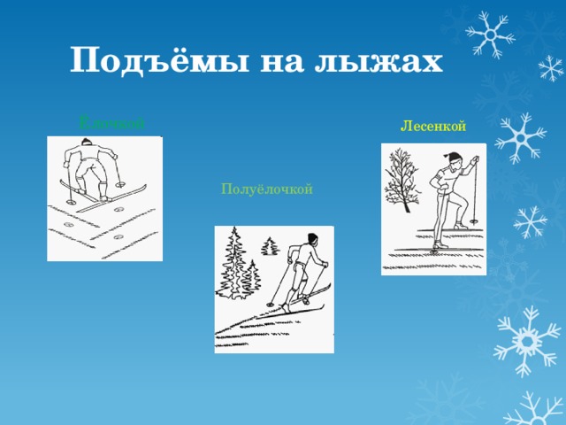 Подъёмы на лыжах Ёлочкой Лесенкой Полуёлочкой
