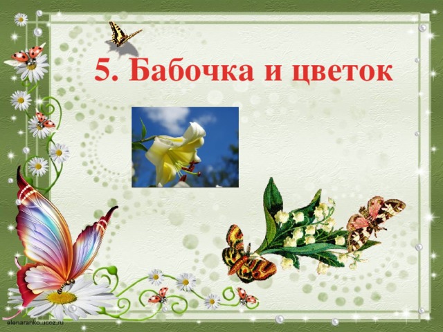 5. Бабочка и цветок