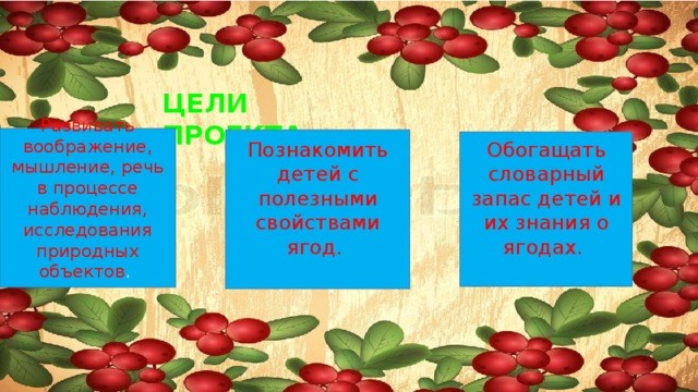 ЦЕЛИ ПРОЕКТА: Развивать воображение, мышление, речь в процессе наблю­дения, исследования природных объектов .   Познакомить детей с полезными свойствами ягод.   Обогащать словарный запас детей и их знания о ягодах.