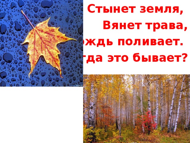 Стынет земля, Вянет трава, Дождь поливает. Когда это бывает?