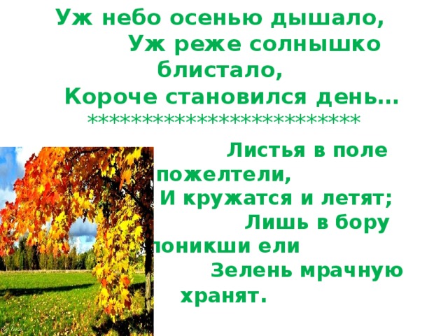 Уж небо дышало уж реже солнышко блистало. Уж небо осенью дышало. Уж небо осенью дышало сочинение. Небо осенью сочинение. Сочинение уж небо осенью дышало 3 класс.