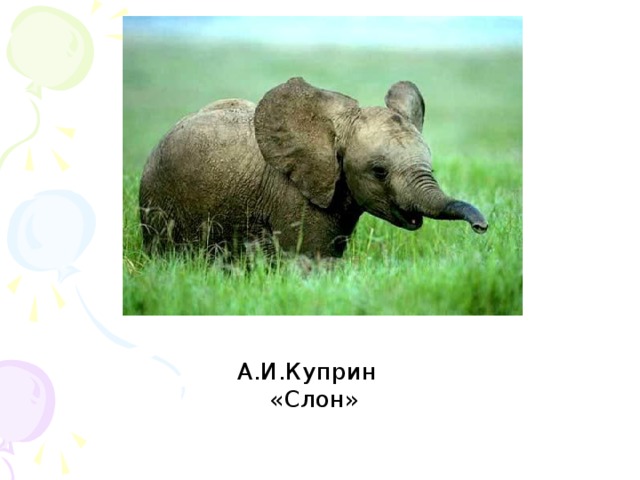 А.И.Куприн «Слон»